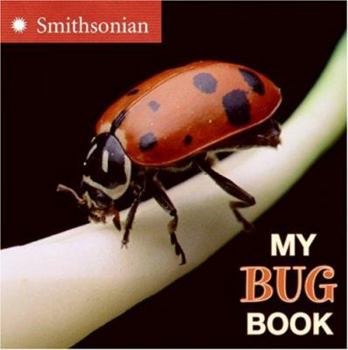 Board book My Bug Book