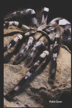 Paperback Pokie lover tarantula keeper notebook: 6 x 9; 100 lined pages Book