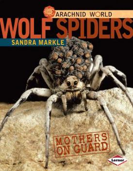 Library Binding Wolf Spiders: Mothers on Guard Book