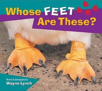 Paperback Whose Feet Are These? Book