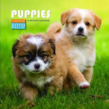 Puppies Calendar 2019: 16 Month Calendar