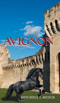 Hardcover Avignon Book