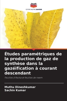 Paperback Études paramétriques de la production de gaz de synthèse dans la gazéification à courant descendant [French] Book