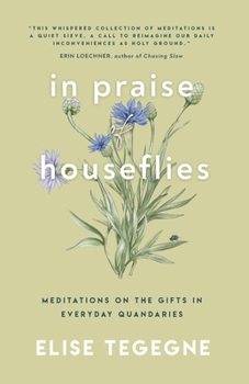 In Praise of Houseflies : Meditations on the Gifts in Everyday Quandaries