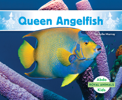 Queen Angelfish (Royal Animals)