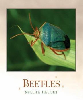 Library Binding Beetles Book