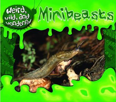 Minibeasts - Book  of the Weird, Wild, and Wonderful