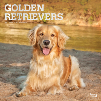 Calendar Golden Retrievers 2021 Square Foil Book