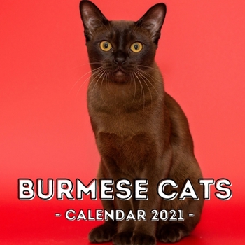 Paperback Burmese Cats: 2021 Wall Calendar, Cute Gift Idea For Burmese Cat Lovers Or Owners Men And Women Book