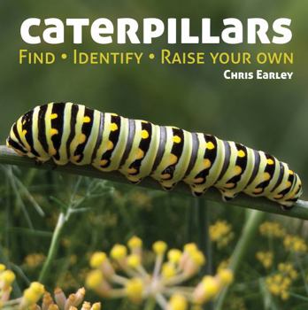 Paperback Caterpillars: Find, Identify, Raise Your Own Book