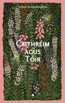 Paperback Caithreim Agus Toir [Irish] Book