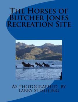 Paperback The Horses of Butcher Jones Recreation Site Book