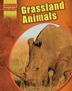 Hardcover Grassland Animals Book