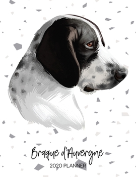 Braque D'Auvergne 2020 Planner: Dated Weekly Diary With To Do Notes & Dog Quotes (Awesome Calendar Planners for Pup Owners - Pedigree Breeds)