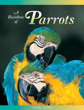 Paperback A Rainbow of Parrots Book
