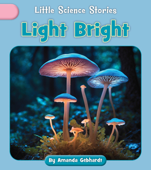 Paperback Light Bright Book