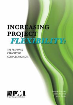 Paperback Increasing Project Flexibility: The Response Capacity of Complex Projects Book