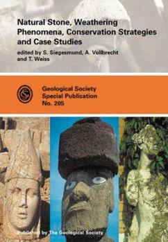 Hardcover Natural Stone, Weathering Phenomena, Conservation Strategies, and Case Studies Book
