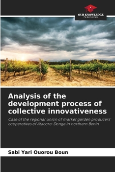 Paperback Analysis of the development process of collective innovativeness Book