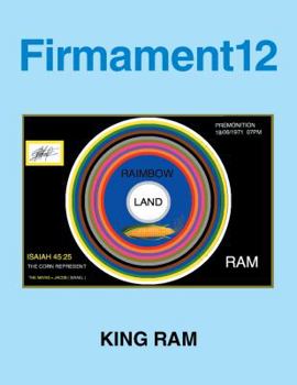 Paperback Firmament12 Book