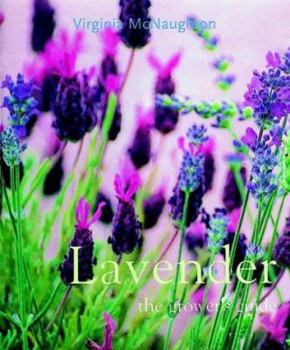 Hardcover Lavender: The Grower's Guide. Virginia McNaughton Book