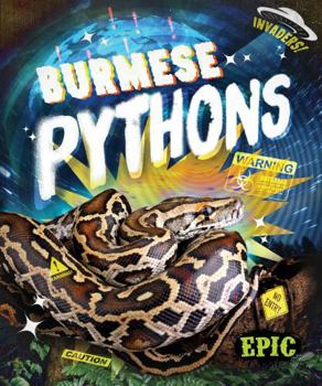 Burmese Pythons (Invaders!)