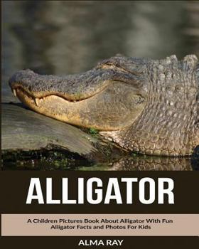 Paperback Alligator: A Children Pictures Book About Alligator With Fun Alligator Facts and Photos For Kids Book