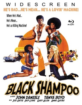 Blu-ray Black Shampoo Book