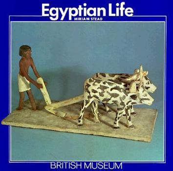Paperback Egyptian Life Book
