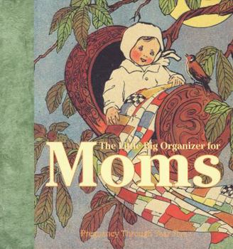 The Little Big Organizer Of Moms