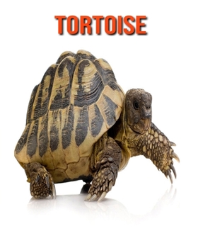Paperback Tortoise: Amazing Facts about Tortoise Book