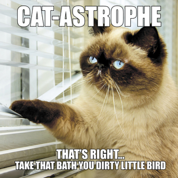 Hardcover Cat-Astrophe Book