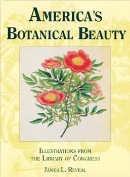 Paperback America's Botanical Beauty: Illustrations from the Library of Congress Book
