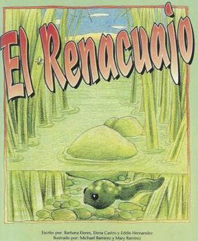 El Renacuajo, Single Copy, Pinata, Stage 2
