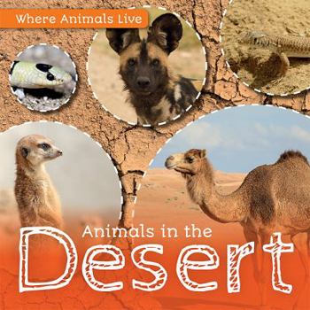 Paperback Animals in the Desert Book
