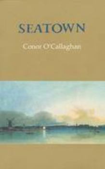 Paperback Seatown Book