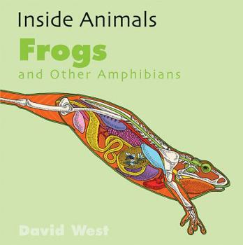 Library Binding Frogs and Other Amphibians Book