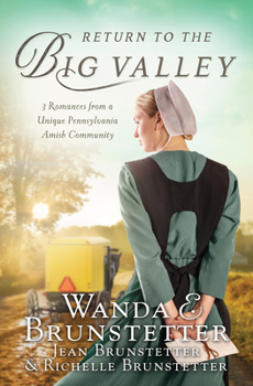Paperback Return to the Big Valley Book