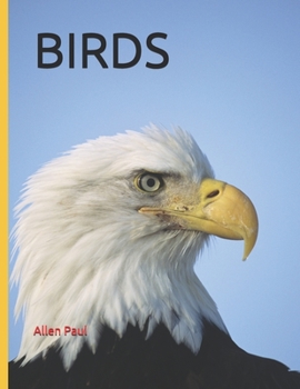 Paperback Birds Book