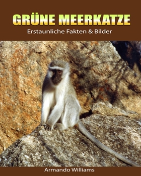 Paperback Gr?ne Meerkatze: Erstaunliche Fakten & Bilder [German] Book