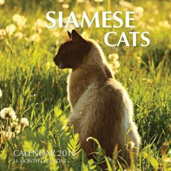 Siamese Cats Calendar 2018: 16 Month Calendar