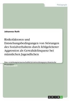 Paperback Risikofaktoren und Entstehungsbedingungen von Störungen des Sozialverhaltens durch fehlgeleiteter Aggression als Gewaltdelinquenz bei männlichen Jugen [German] Book