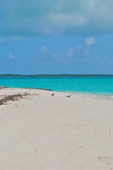 The Bahamas Notebook