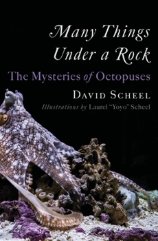 Hardcover Many Things Under a Rock: The Mysteries of Octopuses Book