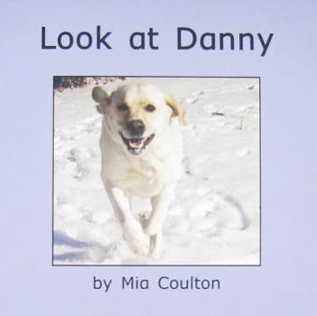 Paperback Look at Danny Book