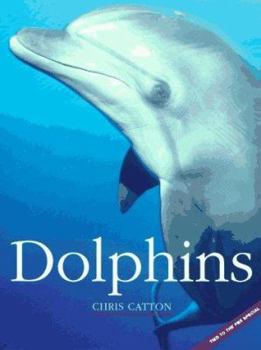 Hardcover Dolphins Book