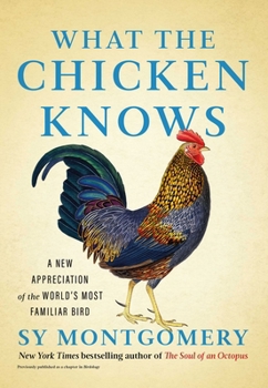 Hardcover What the Chicken Knows: A New Appreciation of the World's Most Familiar Bird Book