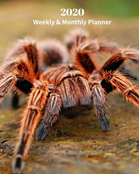 Paperback 2020 Weekly and Monthly Planner: Tarantula Spider - Monthly Calendar with U.S./UK/ Canadian/Christian/Jewish/Muslim Holidays- Calendar in Review/Notes Book