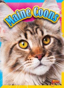 Library Binding Maine Coons Book