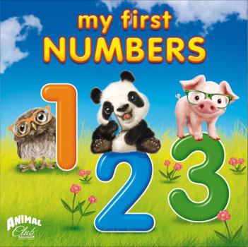 Board book My First Numbers Book